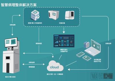 錕元方青 以病理專家視角引領創新，做智慧病理產業實踐的排頭兵